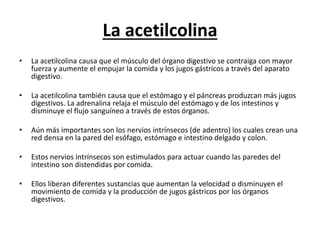 La acetilcolina
• La acetilcolina causa que el músculo del órgano digestivo se contraiga con mayor
fuerza y aumente el empujar la comida y los jugos gástricos a través del aparato
digestivo.
• La acetilcolina también causa que el estómago y el páncreas produzcan más jugos
digestivos. La adrenalina relaja el músculo del estómago y de los intestinos y
disminuye el flujo sanguíneo a través de estos órganos.
• Aún más importantes son los nervios intrínsecos (de adentro) los cuales crean una
red densa en la pared del esófago, estómago e intestino delgado y colon.
• Estos nervios intrínsecos son estimulados para actuar cuando las paredes del
intestino son distendidas por comida.
• Ellos liberan diferentes sustancias que aumentan la velocidad o disminuyen el
movimiento de comida y la producción de jugos gástricos por los órganos
digestivos.
 