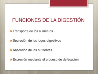 FUNCIONES DE LA DIGESTIÓN
 Transporte de los alimentos
 Secreción de los jugos digestivos
 Absorción de los nutrientes
 Excreción mediante el proceso de defecación
 