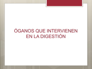 ÓGANOS QUE INTERVIENEN
EN LA DIGESTIÓN
 