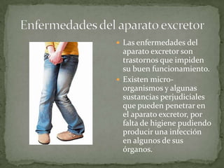  Las enfermedades del

aparato excretor son
trastornos que impiden
su buen funcionamiento.
 Existen microorganismos y algunas
sustancias perjudiciales
que pueden penetrar en
el aparato excretor, por
falta de higiene pudiendo
producir una infección
en algunos de sus
órganos.

 