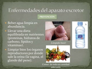 PREVENCIÓN

 Beber agua limpia en

abundancia.
 Llevar una dieta
equilibrada en nutrientes
(proteínas, hidratos de
carbono, lípidos y
vitaminas).
 Limpiar bien los órganos
reproductores por donde
sale la orina (la vagina, el
glande del pene).

¡Límpialo bien!

Comer de todo en cantidad
adecuada

 