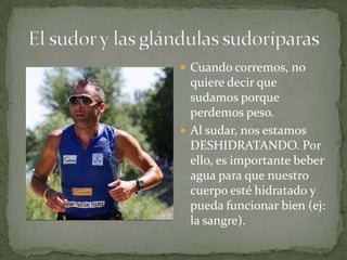  Cuando corremos, no

quiere decir que
sudamos porque
perdemos peso.
 Al sudar, nos estamos
DESHIDRATANDO. Por
ello, es importante beber
agua para que nuestro
cuerpo esté hidratado y
pueda funcionar bien (ej:
la sangre).

 