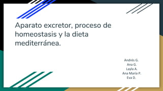 Aparato excretor, proceso de
homeostasis y la dieta
mediterránea.
Andrés G.
Ana G.
Layla A.
Ana María P.
Eva D.
 