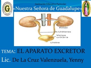 TEMA: EL APARATO EXCRETOR
Lic. De La Cruz Valenzuela, Yenny
Institución Educativa Particular
«Nuestra Señora de Guadalupe»
 