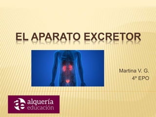EL APARATO EXCRETOR
Martina V. G.
4º EPO
 