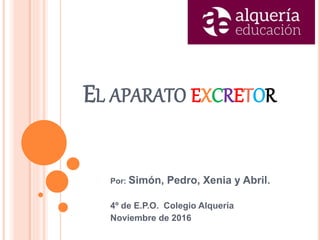 EL APARATO EXCRETOR
Por: Simón, Pedro, Xenia y Abril.
4º de E.P.O. Colegio Alquería
Noviembre de 2016
 