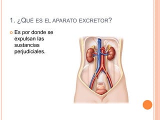 1. ¿QUÉ ES EL APARATO EXCRETOR?
 Es por donde se
expulsan las
sustancias
perjudiciales.
 