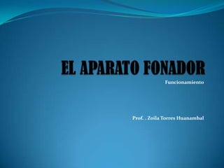 Funcionamiento




Prof. . Zoila Torres Huanambal
 