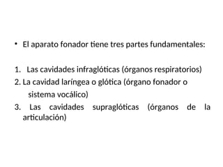 • El aparato fonador tiene tres partes fundamentales:
1. Las cavidades infraglóticas (órganos respiratorios)
2. La cavidad laríngea o glótica (órgano fonador o
sistema vocálico)
3. Las cavidades supraglóticas (órganos de la
articulación)
 