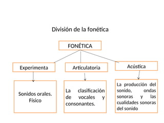 División de la fonética
FONÉTICA
Articulatoria
Experimenta Acústica
Sonidos orales.
Físico
La clasificación
de vocales y
consonantes.
La producción del
sonido, ondas
sonoras y las
cualidades sonoras
del sonido
 