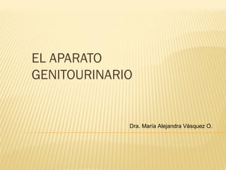 EL APARATO
GENITOURINARIO

Dra. María Alejandra Vásquez O.

 