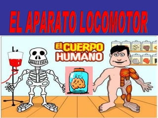 EL APARATO LOCOMOTOR 
