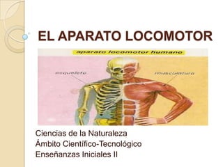EL APARATO LOCOMOTOR
Ciencias de la Naturaleza
Ámbito Científico-Tecnológico
Enseñanzas Iniciales II
 