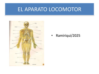 EL APARATO LOCOMOTOR
• Ramiriqui/2025
 