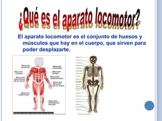 El aparato locomotor es el conjunto de huesos y
  músculos que hay en el cuerpo, que sirven para
  poder desplazarte.
 