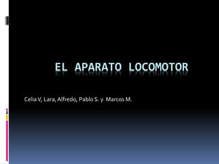 EL APARATO LOCOMOTOR
CeliaV, Lara,Alfredo, Pablo S. y Marcos M.
 