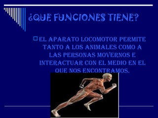 ¿QUE FUNCIONES TIENE?

 El aparato locomotor pErmitE
   tanto a los animalEs como a
     las pErsonas movErnos E
  intEractuar con El mEdio En El
       quE nos Encontramos.
 