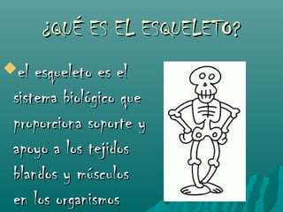 ¿QUÉ ES EL ESQUELETO?
el  esqueleto es el
 sistema biológico que
 proporciona soporte y
 apoyo a los tejidos
 blandos y músculos
 en los organismos
 