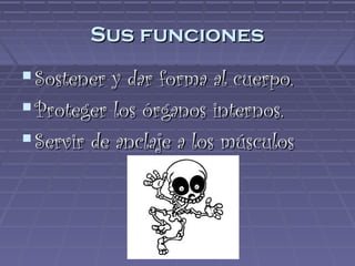 Sus funciones
 Sostener y dar forma al cuerpo.
 Proteger los órganos internos.
 Servir de anclaje a los músculos
 