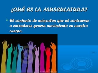 ¿QUÉ ES LA MUSCULATURA?
 El conjunto de músculos que al contraerse
 o extenderse genera movimiento en nuestro
 cuerpo.
 