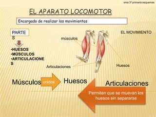 sma 3º primaria esquemas


        EL APARATO LOCOMOTOR
   Encargado de realizar los movimientos

PARTE                                                     EL MOVIMIENTO
S                         músculos

•HUESOS
•MÚSCULOS
•ARTICULACIONE
S                                                       Huesos
                  Articulaciones



Músculos unidos            Huesos                 Articulaciones
                                           Permiten que se muevan los
                                              huesos sin separarse
 