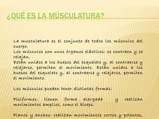 La musculatura es el conjunto de todos los músculos del
cuerpo.
Los músculos son unos órganos elásticos: se contraen y se
relajan.
Están unidos a los huesos del esqueleto y, al contraerse y
relajarse, permiten el movimiento. Están unidos a los
huesos del esqueleto y, al contraerse y relajarse, permiten
el movimiento.

Los músculos pueden tener distintas formas:

Pisiformes: tienen forma alargada             y   realizan
movimientos amplios, como el bíceps.

Planos y anchos: realizan movimientos cortos y potentes,
 