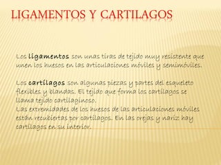 Los ligamentos son unas tiras de tejido muy resistente que
unen los huesos en las articulaciones móviles y semimóviles.

Los cartílagos son algunas piezas y partes del esqueleto
flexibles y blandas. El tejido que forma los cartílagos se
llama tejido cartilaginoso.
Las extremidades de los huesos de las articulaciones móviles
están recubiertas por cartílagos. En las orejas y nariz hay
cartílagos en su interior.
 