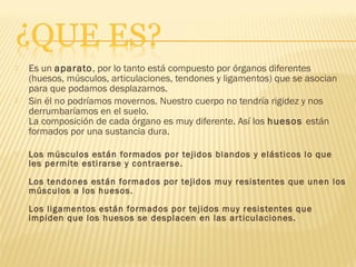    Es un aparato, por lo tanto está compuesto por órganos diferentes
    (huesos, músculos, articulaciones, tendones y ligamentos) que se asocian
    para que podamos desplazarnos.
   Sin él no podríamos movernos. Nuestro cuerpo no tendría rigidez y nos
    derrumbaríamos en el suelo.
    La composición de cada órgano es muy diferente. Así los huesos están
    formados por una sustancia dura.

   Los músculos están formados por tejidos blandos y elásticos lo que
    les permite estirarse y contraerse.

    Los tendones están formados por tejidos muy resistentes que unen los
    músculos a los huesos.

    Los ligamentos están formados por tejidos muy resistentes que
    impiden que los huesos se desplacen en las ar ticulaciones. 
 