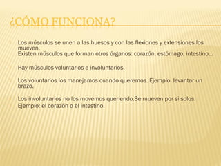    Los músculos se unen a las huesos y con las flexiones y extensiones los
    mueven.
    Existen músculos que forman otros órganos: corazón, estómago, intestino...

   Hay músculos voluntarios e involuntarios.
   Los voluntarios los manejamos cuando queremos. Ejemplo: levantar un
    brazo.
   Los involuntarios no los movemos queriendo.Se mueven por si solos.
   Ejemplo: el corazón o el intestino.
 