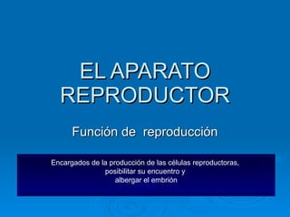 EL APARATO REPRODUCTOR Función de  reproducción Encargados de la producción de las células reproductoras,  posibilitar su encuentro y  albergar el embrión 