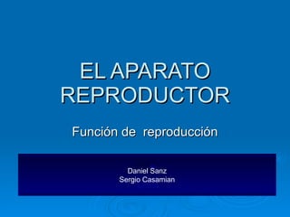 EL APARATO REPRODUCTOR Función de  reproducción Daniel Sanz Sergio Casamian 