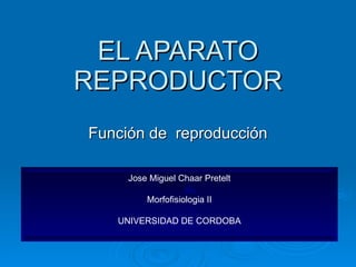 EL APARATO REPRODUCTOR Función de  reproducción Jose Miguel Chaar Pretelt Morfofisiologia II UNIVERSIDAD DE CORDOBA 