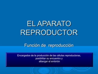 EL APARATO
  REPRODUCTOR
      Función de reproducción

Encargados de la producción de las células reproductoras,
        ...