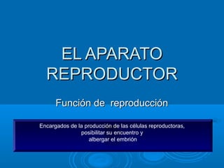 EL APARATOEL APARATO
REPRODUCTORREPRODUCTOR
Función de reproducciónFunción de reproducción
Encargados de la producción de las células reproductoras,
posibilitar su encuentro y
albergar el embrión
 