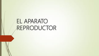 EL APARATO
REPRODUCTOR
 