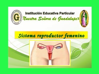 Sistema reproductor femeninoSistema reproductor femenino
 