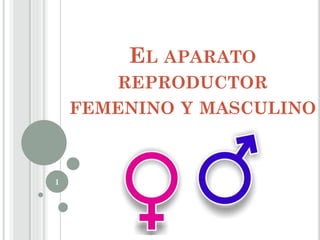 EL APARATO REPRODUCTOR FEMENINO Y MASCULINO 
1  
