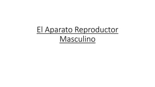 El Aparato Reproductor
Masculino
 