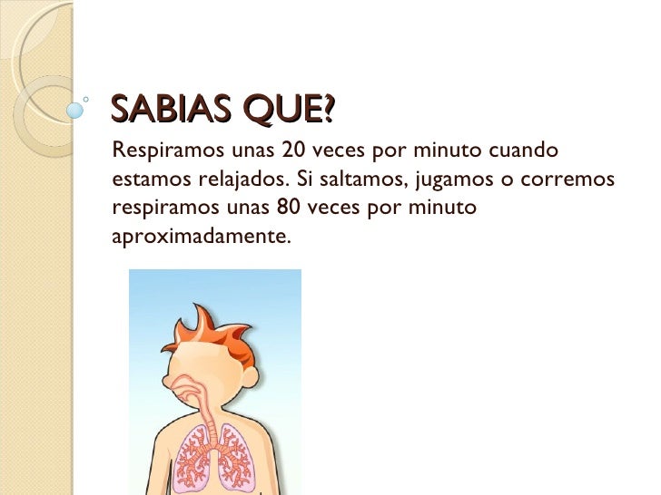 APARATO RESPIRATORIO