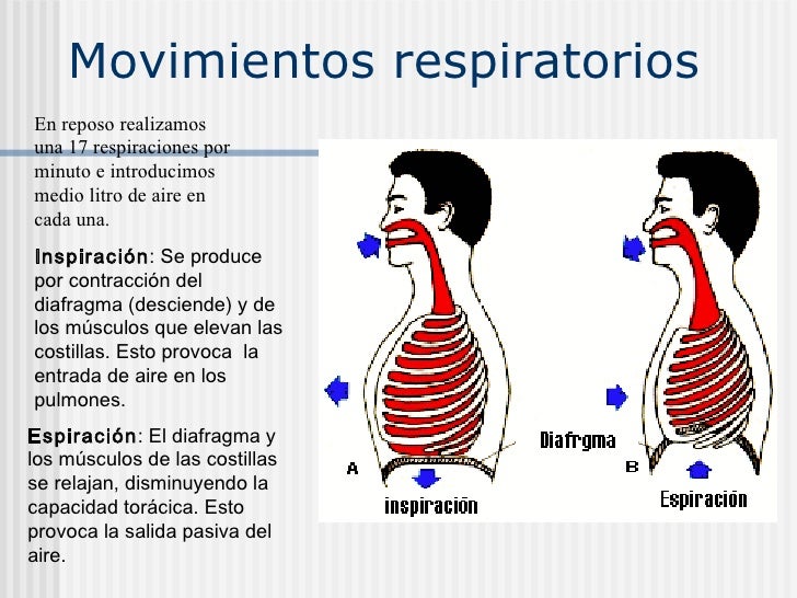 Si bien que he dejado a fumar