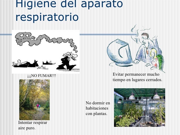 Que hacer cuando el dolor en la espalda en el campo de las espátulas