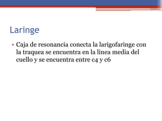 Laringe
• Caja de resonancia conecta la larigofaringe con
la traquea se encuentra en la linea media del
cuello y se encuentra entre c4 y c6
 