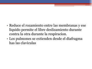 • Reduce el rozamiento entre las membranas y ese
liquido permite el libre deslizamiento durante
contra la otra durante la respiracion.
• Los pulmones se extienden desde el diafragma
has las claviculas
 