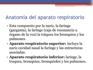 Anatomía del aparato respiratorio
• Esta compuesto por la nariz, la faringe
(garganta), la laringe (caja de resonancia u
órgano de la voz) la tráquea los bronquios y los
pulmones.
• Aparato respiratorio superior: incluye la
nariz cavidad nasal la faringe y las estructuras
asociadas.
• Aparato respiratorio inferior: laringe, la
traquea, bronquios, bronquiolos y los pulmones.
 