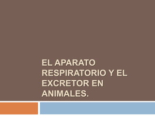 EL APARATO
RESPIRATORIO Y EL
EXCRETOR EN
ANIMALES.
 