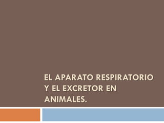 EL APARATO RESPIRATORIO
Y EL EXCRETOR EN
ANIMALES.

 