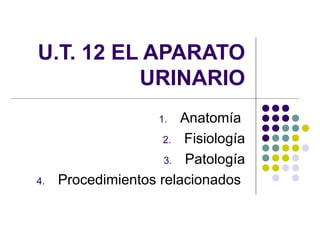 U.T. 12 EL APARATO
          URINARIO
                    1.  Anatomía
                     2. Fisiología

                     3. Patología

4.   Procedimientos relacionados
 
