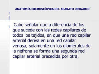 ●Cabe señalar que a diferencia de los
que sucede con las redes capilares de
todos los tejidos, en que una red capilar
arterial deriva en una red capilar
venosa, solamente en los glomérulos de
la nefrona se forma una segunda red
capilar arterial precedida por otra.
ANATOMÍA MICROSCÓPICA DEL APARATO URINARIO
 