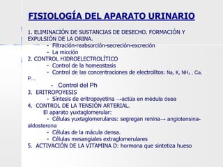 FISIOLOGÍA DEL APARATO URINARIO
1. ELIMINACIÓN DE SUSTANCIAS DE DESECHO. FORMACIÓN Y
EXPULSIÓN DE LA ORINA.
- Filtración-reabsorción-secreción-excreción
- La micción
2. CONTROL HIDROELECTROLÍTICO
- Control de la homeostasis
- Control de las concentraciones de electrolitos: Na, K, NH₃ , Ca,
P…
- Control del Ph
3. ERITROPOYESIS
- Síntesis de eritropoyetina →actúa en médula ósea
4. CONTROL DE LA TENSIÓN ARTERIAL.
El aparato yuxtaglomerular:
- Células yuxtaglomerulares: segregan renina→ angiotensina-
aldosterona
- Células de la mácula densa.
- Células mesangiales extraglomerulares
5. ACTIVACIÓN DE LA VITAMINA D: hormona que sintetiza hueso
 
