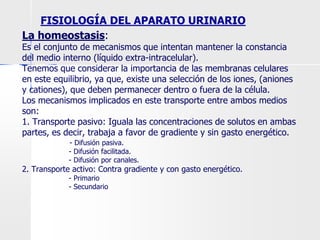 FISIOLOGÍA DEL APARATO URINARIO
La homeostasis:
Es el conjunto de mecanismos que intentan mantener la constancia
del medio interno (líquido extra-intracelular).
Tenemos que considerar la importancia de las membranas celulares
en este equilibrio, ya que, existe una selección de los iones, (aniones
y cationes), que deben permanecer dentro o fuera de la célula.
Los mecanismos implicados en este transporte entre ambos medios
son:
1. Transporte pasivo: Iguala las concentraciones de solutos en ambas
partes, es decir, trabaja a favor de gradiente y sin gasto energético.
- Difusión pasiva.
- Difusión facilitada.
- Difusión por canales.
2. Transporte activo: Contra gradiente y con gasto energético.
- Primario
- Secundario
 